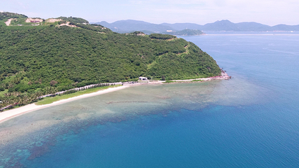 小东海第 28 张图片