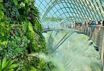 新加坡滨海湾花园第 291 张图片