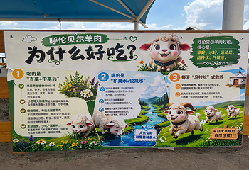 呼伦贝尔大草原巴尔虎蒙古部落民俗旅游度假景区第 77 张图片