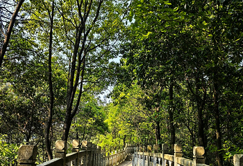 南山风景区第 89 张图片