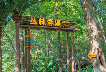 茅山森林世界第 101 张图片