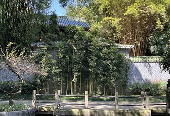 鹅岭公园第 92 张图片