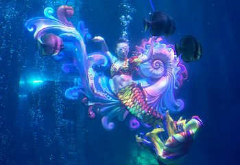 泉城欧乐堡海洋极地世界第 43 张图片