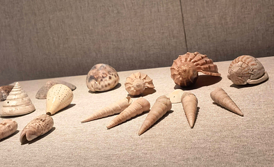 漳州市博物馆第 48 张图片