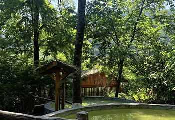 花水湾温泉度假区第 55 张图片