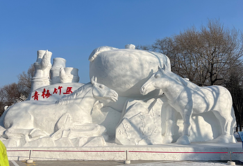太阳岛风景区第 106 张图片