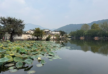 宏村景区第 516 张图片