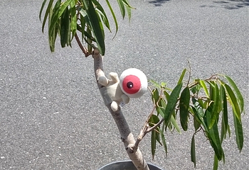 水木茂路第 31 张图片