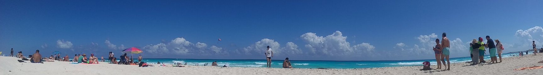 海豚海滩第 20 张图片