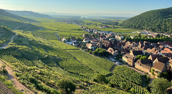 凯瑟斯贝格城堡