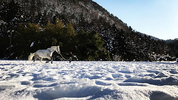 山形馬事センター