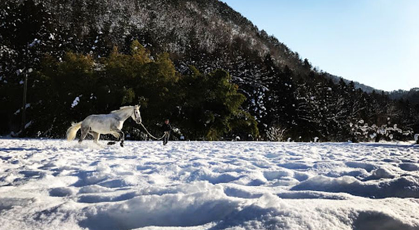 山形馬事センター