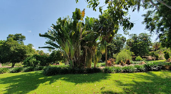 Darwin Botanic Gardens Playground