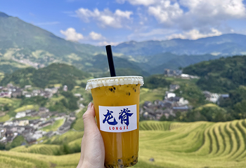 龙脊梯田第 82 张图片