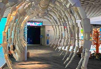 佛州水族馆第 5 张图片