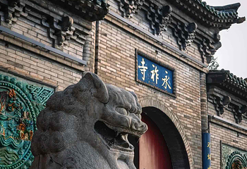 双塔公园第 21 张图片