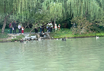 瘦西湖第 397 张图片