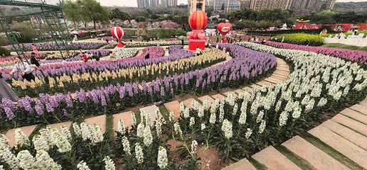 漫花庄园第 89 张图片