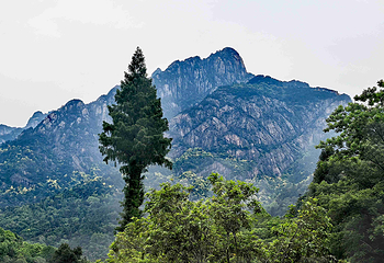 黄山风景区第 54 张图片