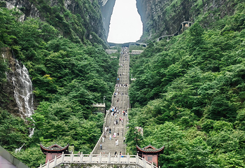 天门山国家森林公园第 215 张图片