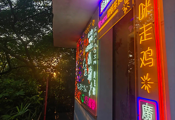 越秀公园第 294 张图片