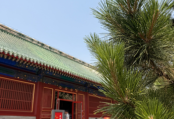 天坛公园第 292 张图片