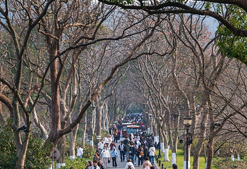 西湖风景名胜区第 275 张图片