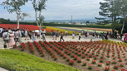 富田农场第 25 张图片