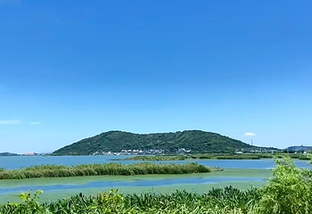 太湖西山岛第 28 张图片