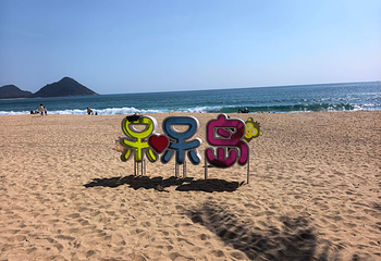 南湾猴岛生态旅游区第 77 张图片
