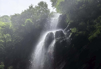 官鹅沟大景区第 69 张图片