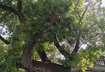 晋祠博物馆第 364 张图片
