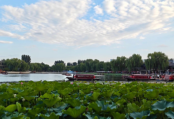 什刹海风景区第 233 张图片