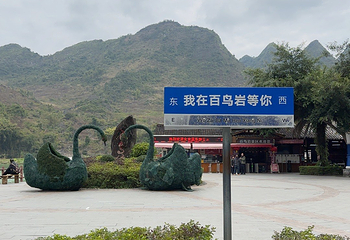 巴马百鸟岩第 48 张图片
