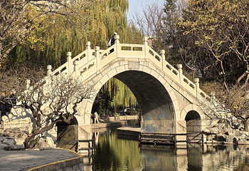 团结湖公园第 60 张图片