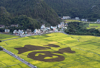 万峰林景区第 55 张图片