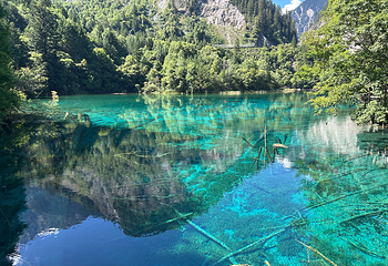 九寨沟风景区第 232 张图片