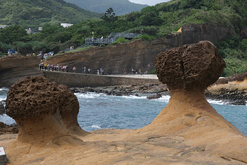 野柳地质公园第 46 张图片