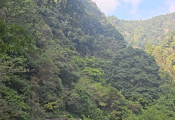 琼台仙谷景区第 17 张图片