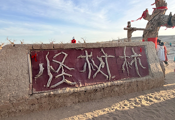 黑城弱水胡杨风景区第 113 张图片