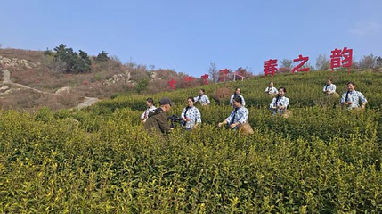 三公山杜鹃花海第 1 张图片