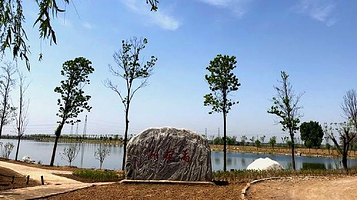 渭南渭河生态公园