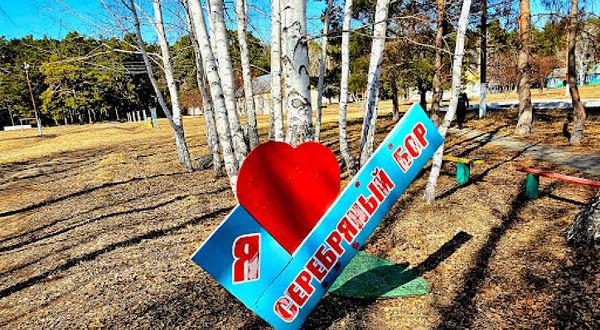 Detskiy Letniy Ozdorovitel'nyy Lager' 