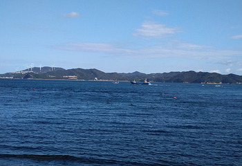 鸣门海峡第 20 张图片