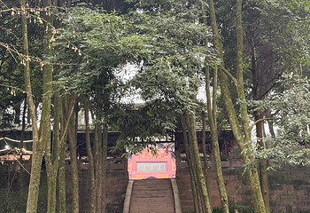 青城山第 316 张图片