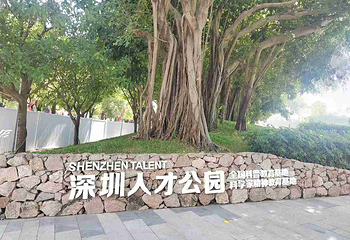 深圳人才公园第 19 张图片