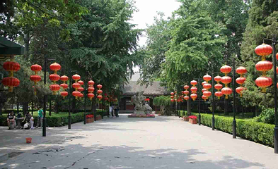 大观园(经四路店)第 11 张图片