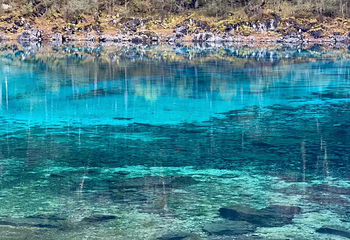 九寨沟风景区第 330 张图片