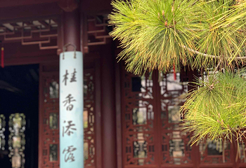 虎丘山风景名胜区第 134 张图片