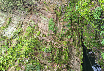 虎丘山风景名胜区第 216 张图片